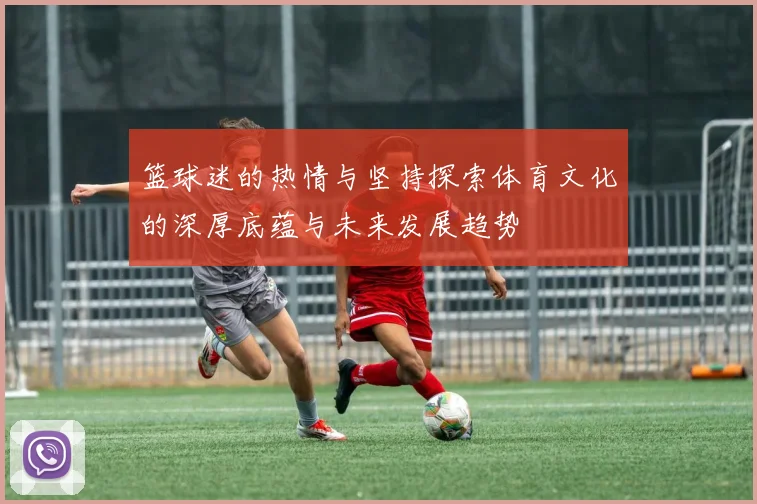 篮球迷的热情与坚持探索体育文化的深厚底蕴与未来发展趋势