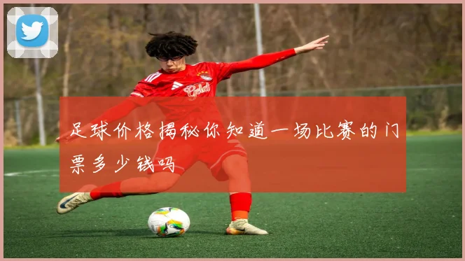 足球价格揭秘你知道一场比赛的门票多少钱吗