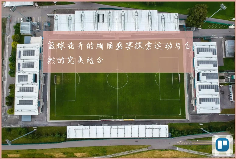 篮球花卉的绚丽盛宴探索运动与自然的完美结合